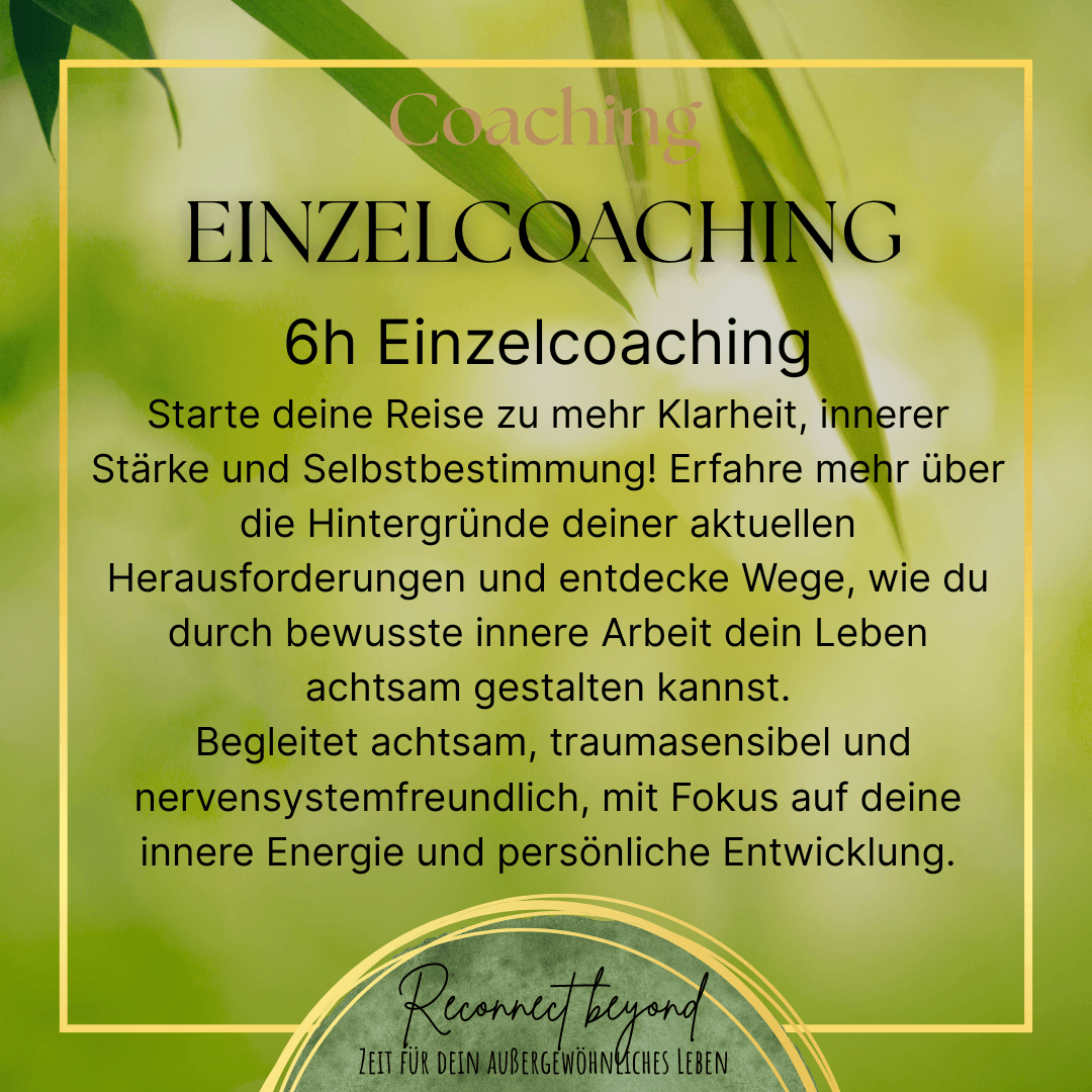 6h Einzelcoaching Ruth Weber Reconnect beyond