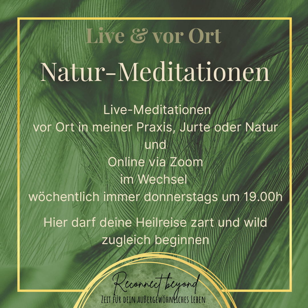 Naturmeditationen Schwarzwald Ruth Weber