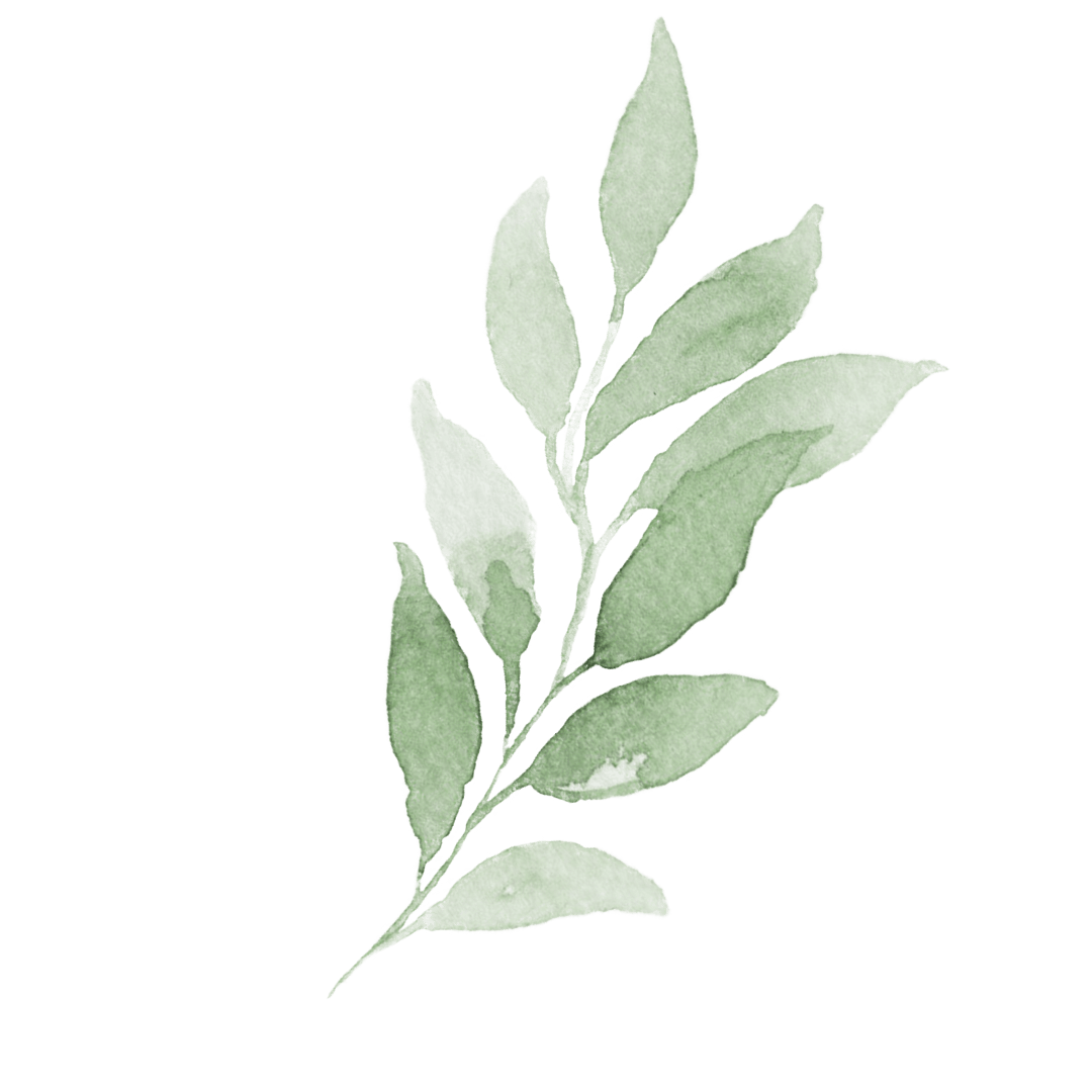 Roots Seelenflüstern