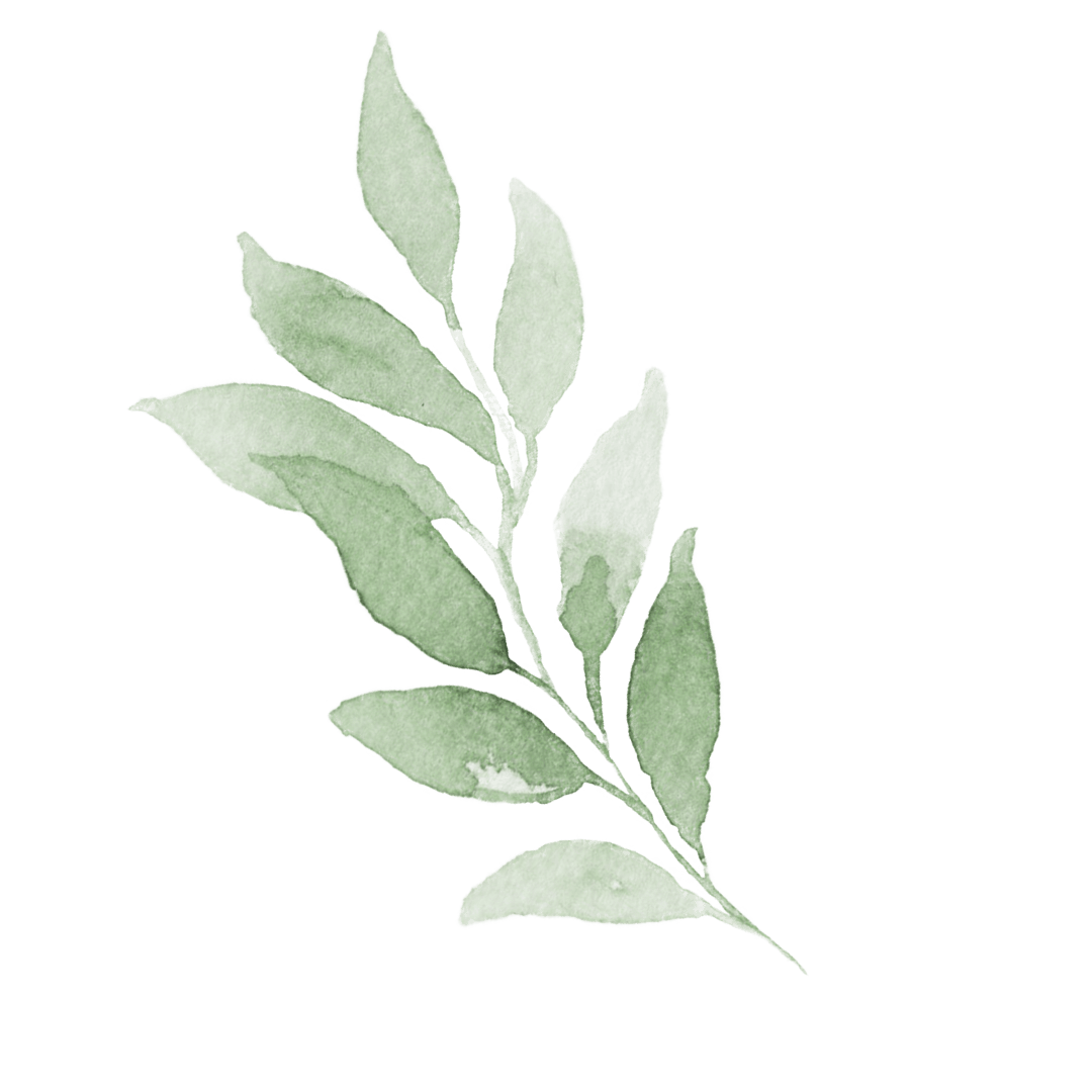 Roots dein Seelenflüstern